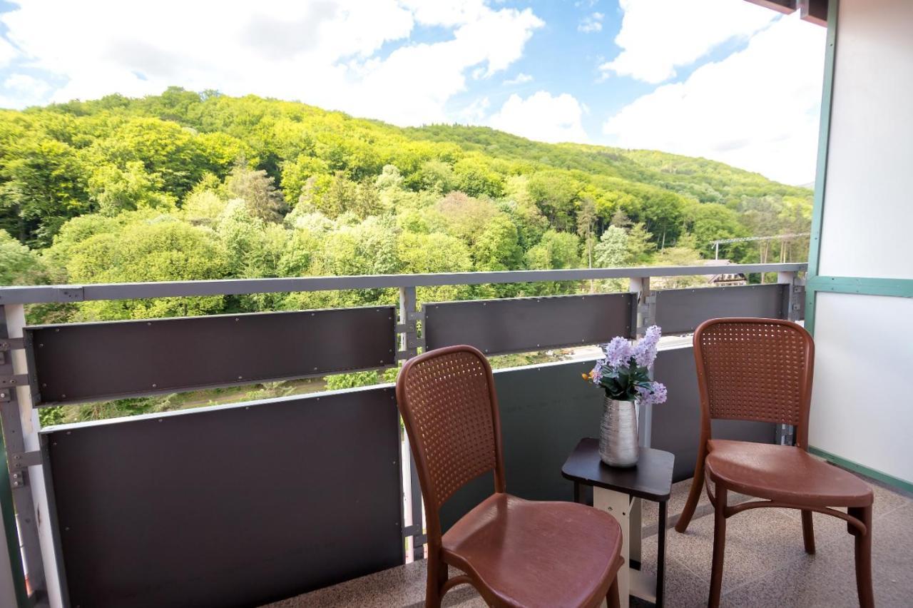 Complex Balnear Cozia Hotel 2*